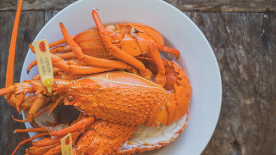 Port Fresh Seafoods Port Macquarie's Freshest Seafood